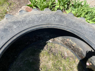 big tire on the ground with daffodils(?) behind it