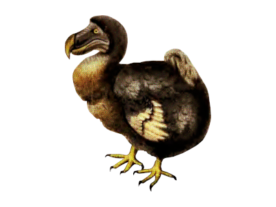 sticker of a dodo illustration from 'The dodo and its kindred; or the history, affinities, and osteology of the dodo, solitaire, and other extinct birds, of the islands Mauritius, Rodriguez and Bourbon' by H.E. Strickland ... and A.G. Melville