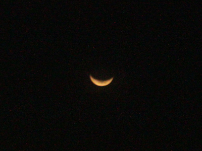 luna-bogotana.jpg